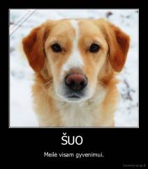 ŠUO  - Meilė visam gyvenimui.