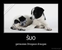 ŠUO - geriausias žmogaus draugas
