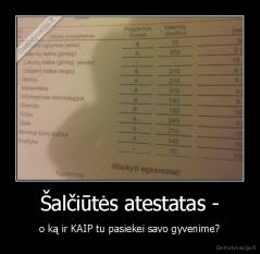 Šalčiūtės atestatas - - o ką ir KAIP tu pasiekei savo gyvenime?