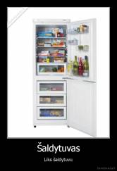 Šaldytuvas - Liks šaldytuvu