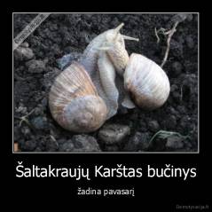 Šaltakraujų Karštas bučinys - žadina pavasarį