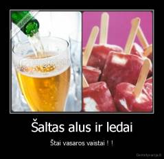 Šaltas alus ir ledai - Štai vasaros vaistai ! !