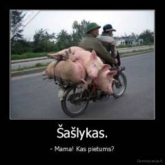 Šašlykas. - - Mama! Kas pietums?