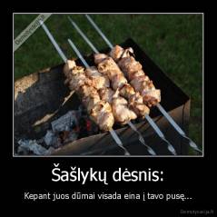 Šašlykų dėsnis: - Kepant juos dūmai visada eina į tavo pusę...
