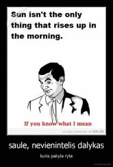 saule, nevienintelis dalykas - kuris pakyla ryte