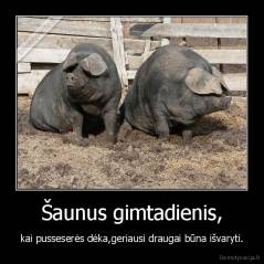 Šaunus gimtadienis, - kai pusseserės dėka,geriausi draugai būna išvaryti.