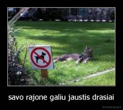 savo rajone galiu jaustis drasiai - 