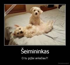 Šeimininkas - O tu grįžai anksčiau?!