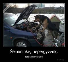 Šeimininke, nepergyvenk, - tuoj galėsi važiuoti