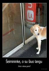 Šeimininke, o su šiuo langu  - tikrai viskas gerai?