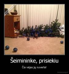 Šeimininke, prisiekiu - Čia vėjas ją nuvertė!