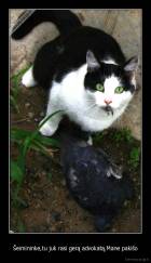 Šeimininke,tu juk rasi gerą advokatą.Mane pakišo - 