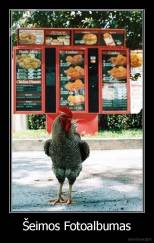 Šeimos Fotoalbumas - 