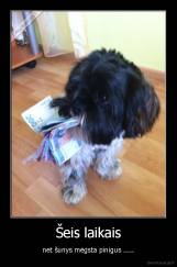 Šeis laikais - net šunys mėgsta pinigus .....