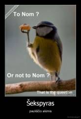 Šekspyras - paukščio akimis