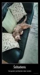 Šeštadienis  - Kai supranti, kad šiandien niekur nereikia 