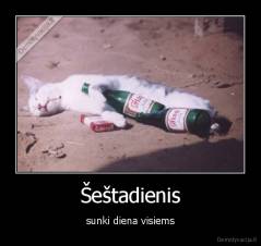 Šeštadienis - sunki diena visiems
