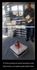 Ši čiužinių parduotuvė duoda nemokamai mažą - čiužinį šuniukui, jei nusiperki įprasto dydžio čiužinį.