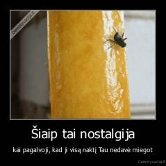 Šiaip tai nostalgija - kai pagalvoji, kad ji visą naktį Tau nedavė miegot