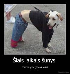 Šiais laikais šunys  - mums yra gyvos lėlės