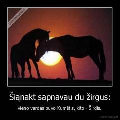 Šiąnakt sapnavau du žirgus: - vieno vardas buvo Kumštis, kito - Širdis.