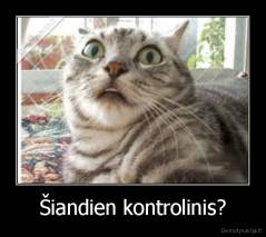 Šiandien kontrolinis? - 