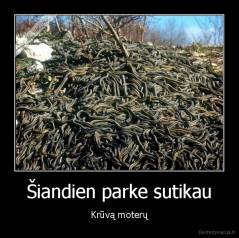 Šiandien parke sutikau - Krūvą moterų