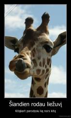 Šiandien rodau liežuvį - Kitąkart parodysiu ką nors kitą