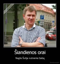Šiandienos orai - Naglis Šulija nutrenkė žaibą