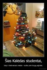 Šias Kalėdas studentai, - kaip ir kiekvienais metais - sutiks prie knygų eglutės.