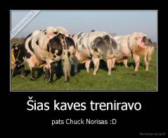 Šias kaves treniravo - pats Chuck Norisas :D