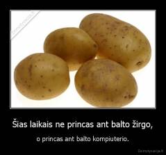 Šias laikais ne princas ant balto žirgo, - o princas ant balto kompiuterio.