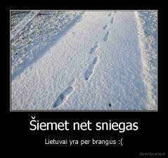 Šiemet net sniegas - Lietuvai yra per brangus :(