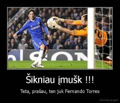 Šikniau įmušk !!! - Teta, prašau, ten juk Fernando Torres
