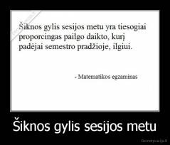 Šiknos gylis sesijos metu - 