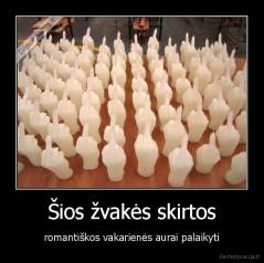 Šios žvakės skirtos - romantiškos vakarienės aurai palaikyti