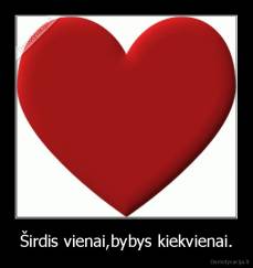 Širdis vienai,bybys kiekvienai. - 