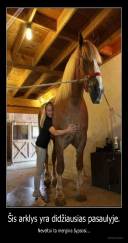 Šis arklys yra didžiausias pasaulyje. - Neveltui ta mergina šypsosi...