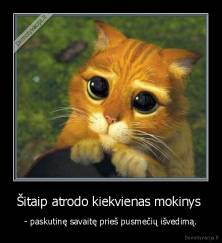 Šitaip atrodo kiekvienas mokinys  - - paskutinę savaitę prieš pusmečių išvedimą.