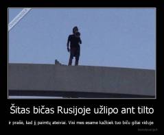 Šitas bičas Rusijoje užlipo ant tilto - ir prašė, kad jį paimtų ateiviai. Visi mes esame kažkiek tuo biču giliai viduje 