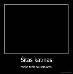 Šitas katinas - minko tešlą sausainiams.