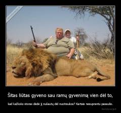 Šitas liūtas gyveno sau ramų gyvenimą vien dėl to, - kad kažkoks storas dėdė jį nušautų dėl nuotraukos? Kartais nesuprantu pasaulio.