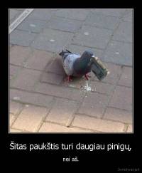 Šitas paukštis turi daugiau pinigų, - nei aš.