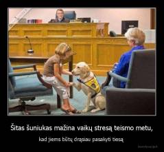 Šitas šuniukas mažina vaikų stresą teismo metu, - kad jiems būtų drąsiau pasakyti tiesą 