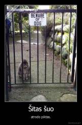 Šitas šuo - atrodo piktas.