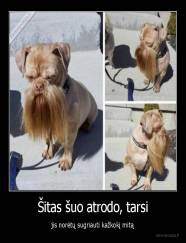 Šitas šuo atrodo, tarsi - jis norėtų sugriauti kažkokį mitą