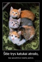 Šitie trys katukai atrodo, - kaip spausdintuvo kasečių spalvos.