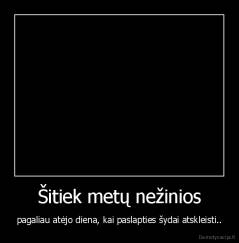 Šitiek metų nežinios - pagaliau atėjo diena, kai paslapties šydai atskleisti..