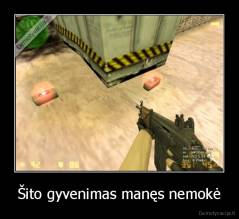 Šito gyvenimas manęs nemokė - 