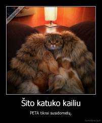 Šito katuko kailiu - PETA tikrai susidomėtų.